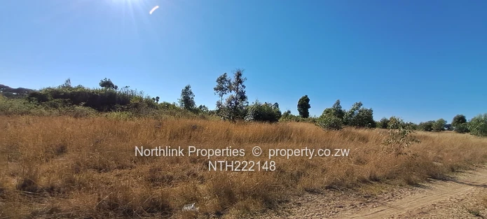 ECD & Primary School Stand!