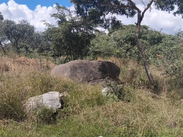 Farm & Agricultural Land