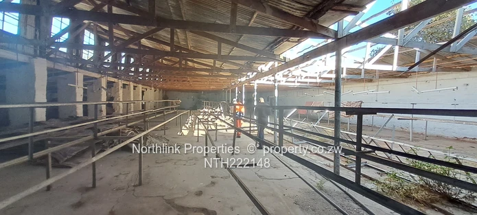 ECD & Primary School Stand!