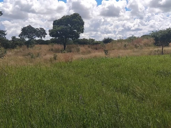 Farm & Agricultural Land