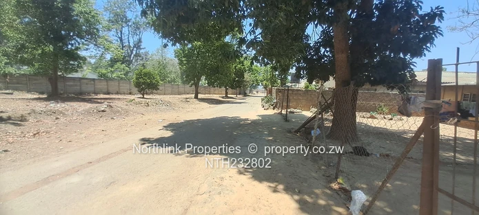 Investment Opportunity. 