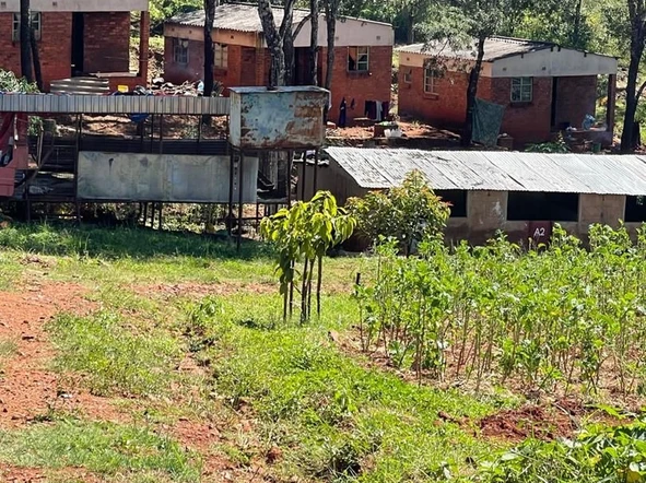 Farm & Agricultural Land