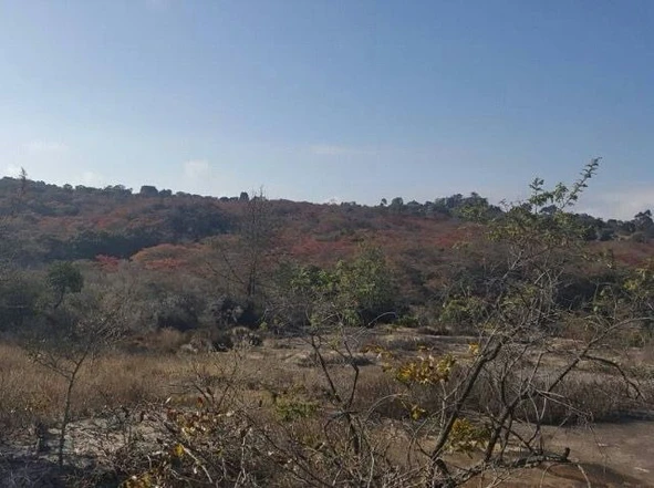 Agro Residential Plot