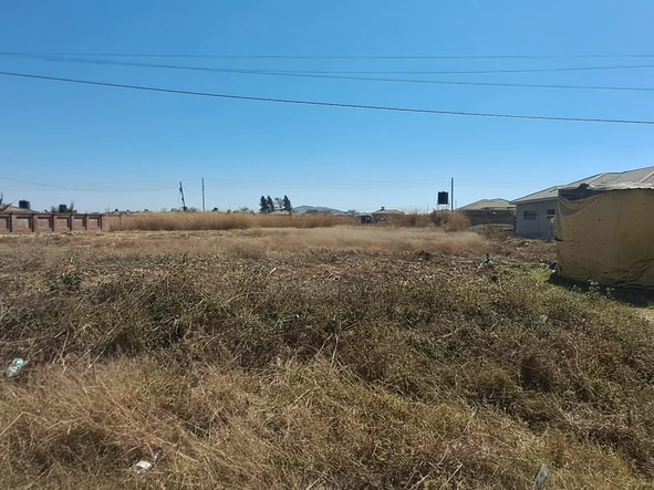 Stands & Residential Land