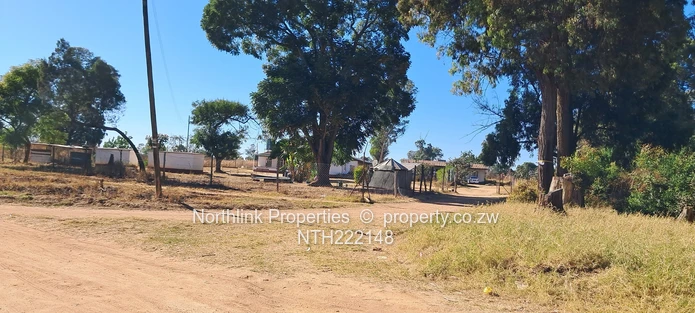 ECD & Primary School Stand!