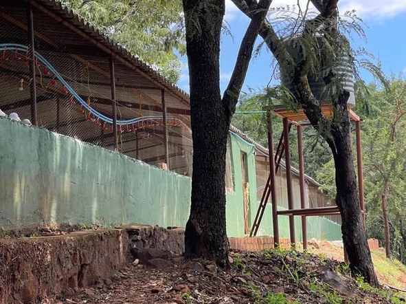 Farm & Agricultural Land