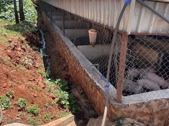 Farm & Agricultural Land