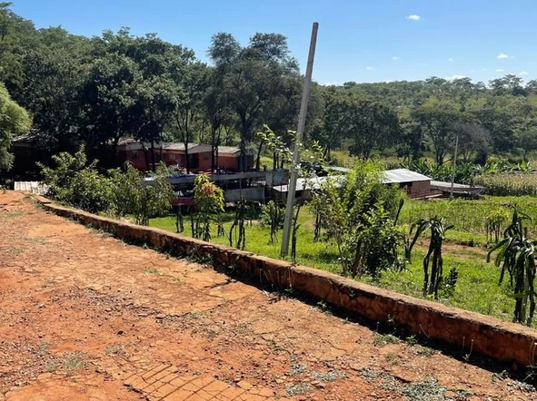 Farm & Agricultural Land