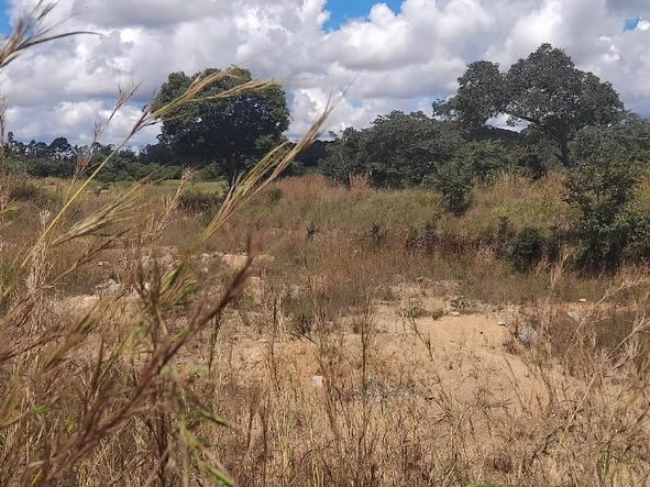 Farm & Agricultural Land