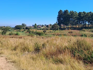 Stands & Residential Land