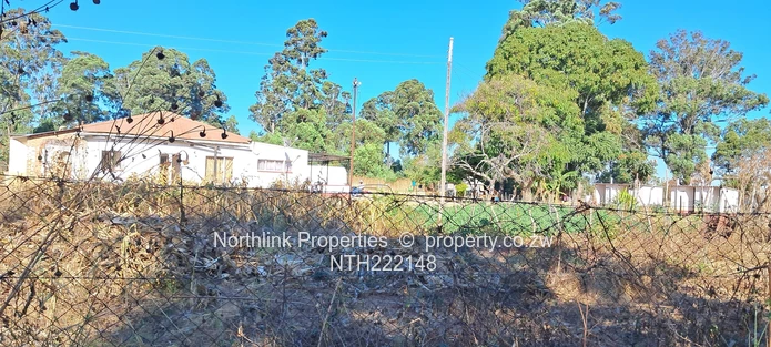 ECD & Primary School Stand!