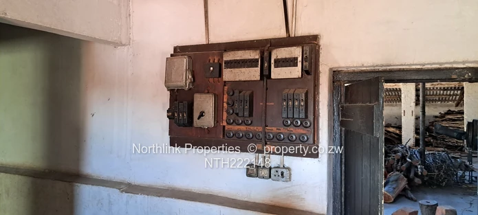 ECD & Primary School Stand!