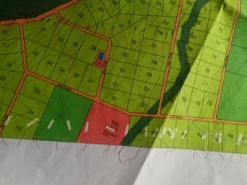 Farm & Agricultural Land