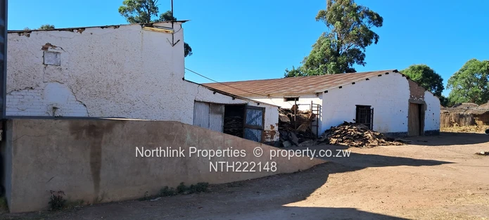 ECD & Primary School Stand!