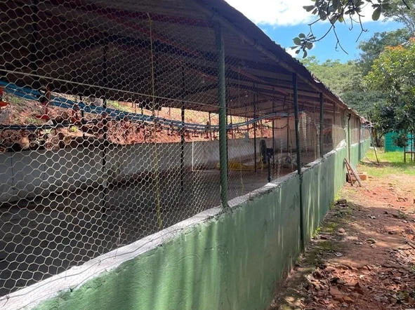 Farm & Agricultural Land