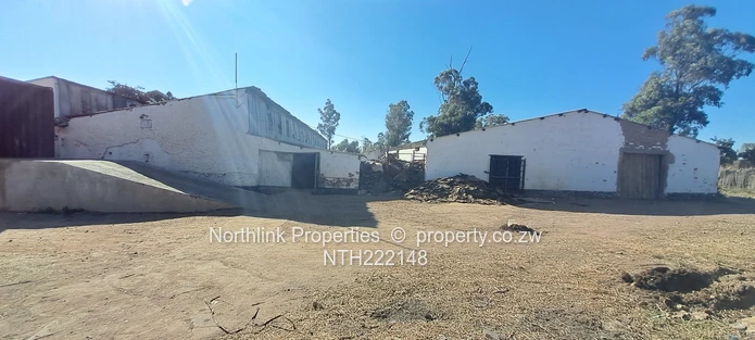 ECD & Primary School Stand!