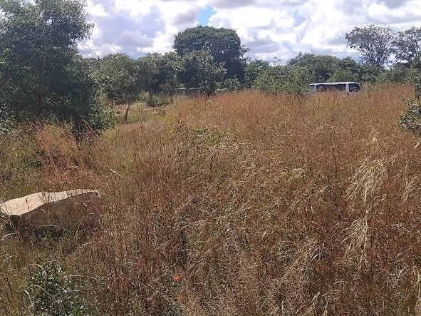 Farm & Agricultural Land